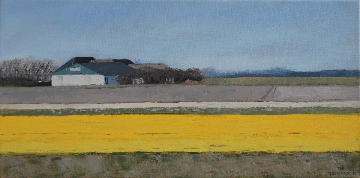 11101 Narcissen Texel 30 x 60 2011