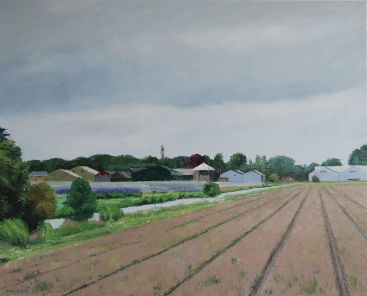 12159 Bollenschuren 80 x 100 2012